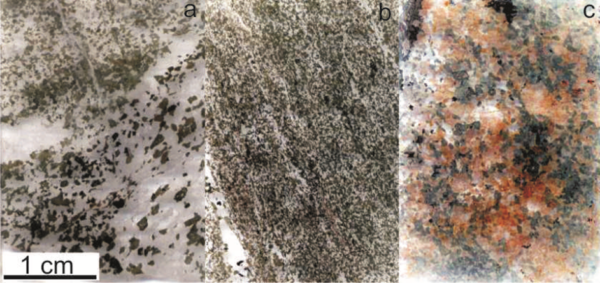 a - migmatised amphibolite, b - amphibolite, c – hydrothermally-altered amphibolite